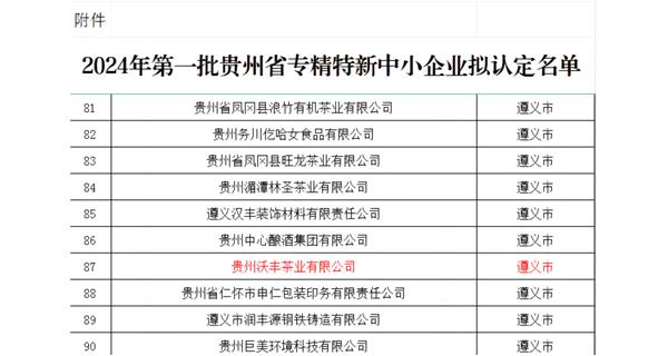 榮獲貴州省中小企業(yè)“專精特新”中小企業(yè)培育名單